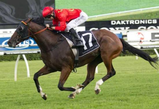 Montaigne set to relish the Rosehill Guineas trip